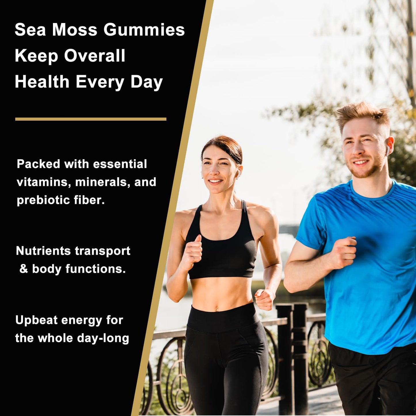 Hisonour Research Sea Moss Gummies with Black Seed Oil, Ashwagandha, Ginger, Irish Sea Moss, Mixed Berry Flavor, Vegan, 60 Gummies