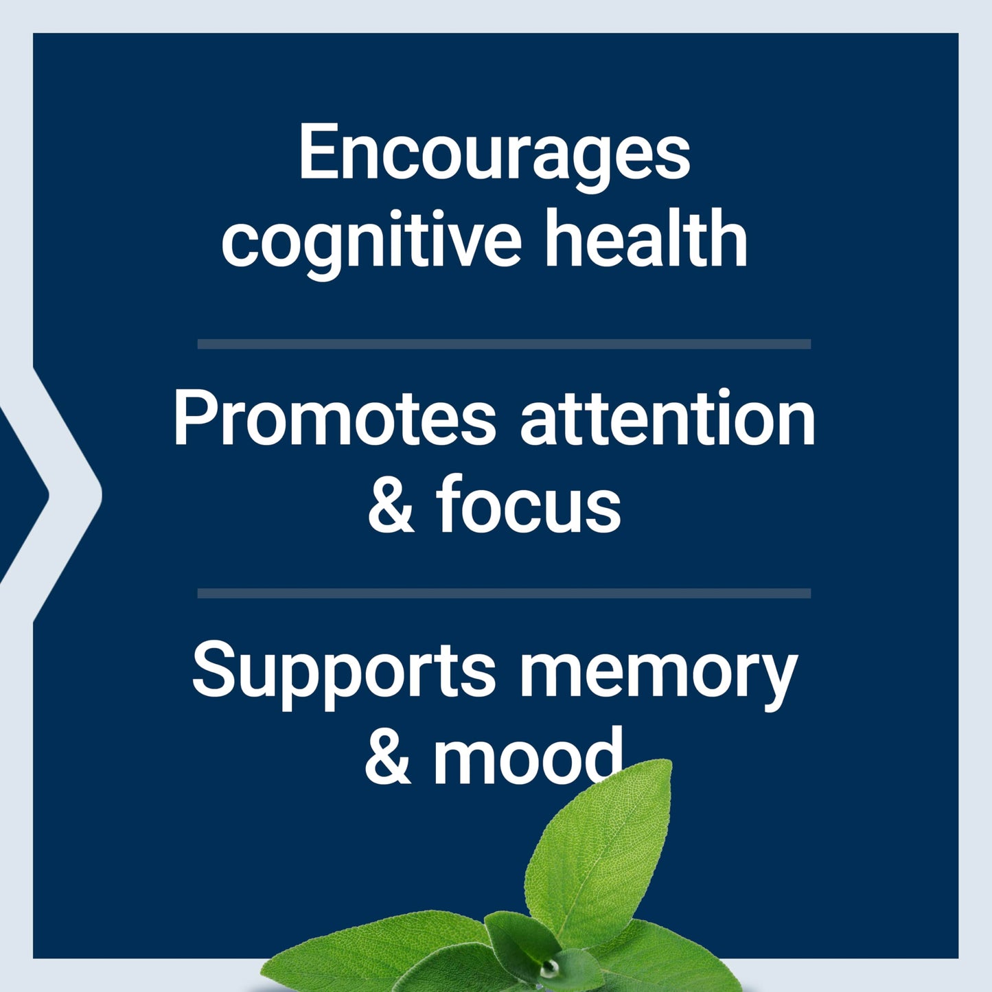 Life Extension Cognitex Elite 60 Tablets
