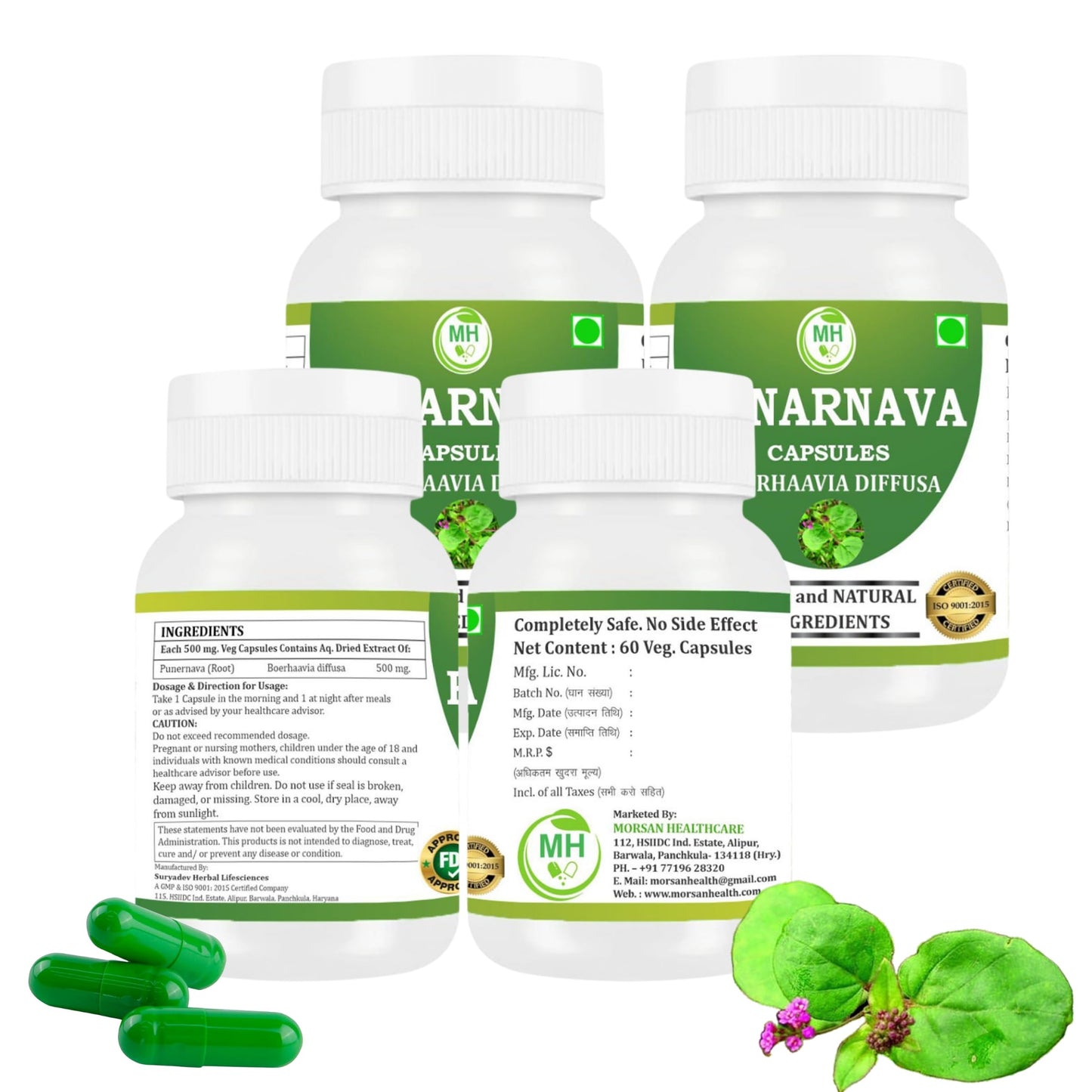 Morsan Healthcare Punarnava Capsules (Boerhaavia Diffusa) 500mg, 240 Capsules