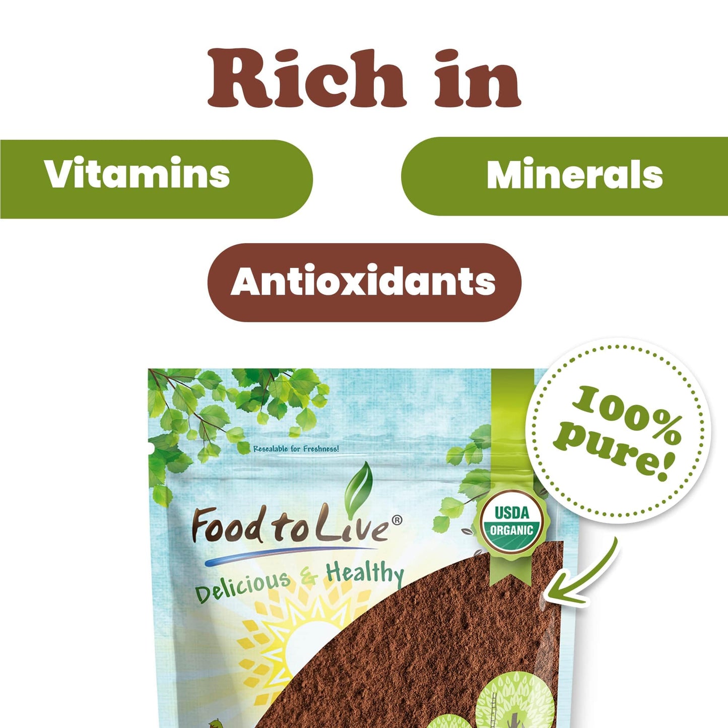 Food to Live Organic Chaga Mushroom Powder, 16 Ounce