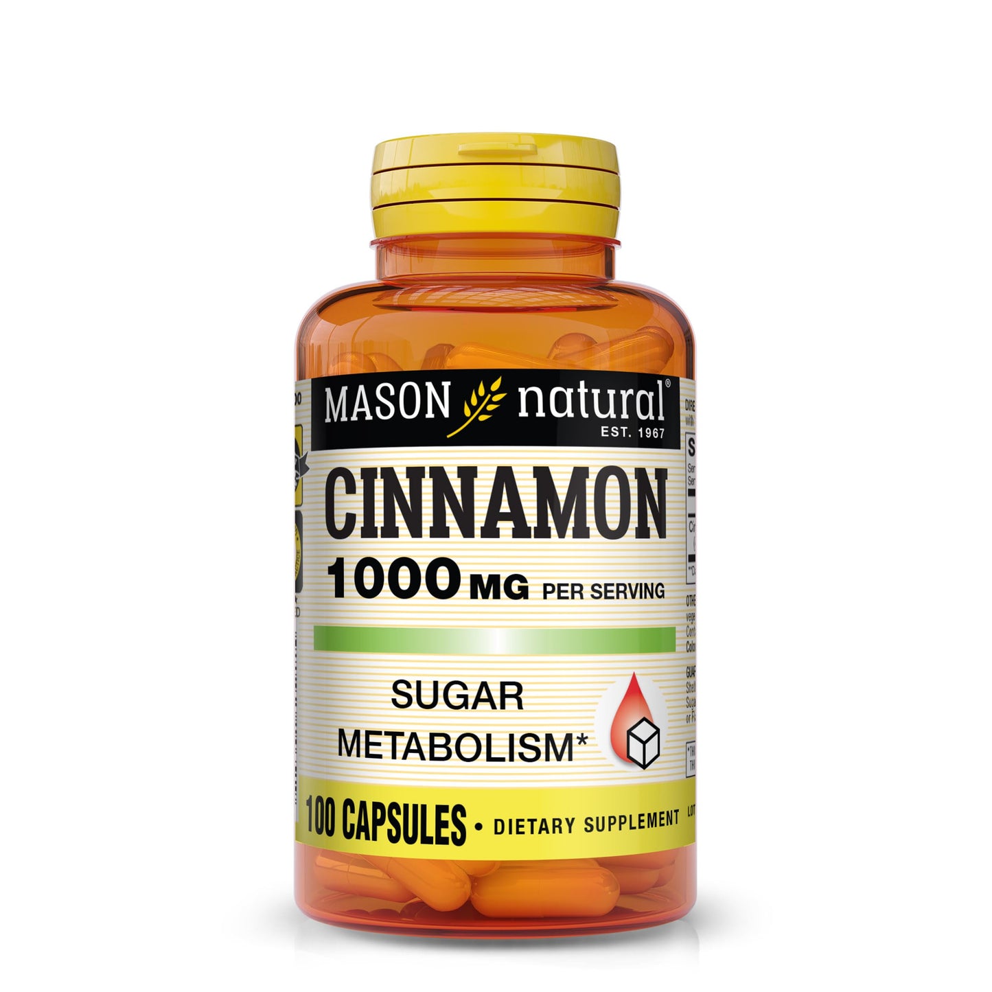 MASON NATURAL Cinnamon 1000 mg 300 Capsules