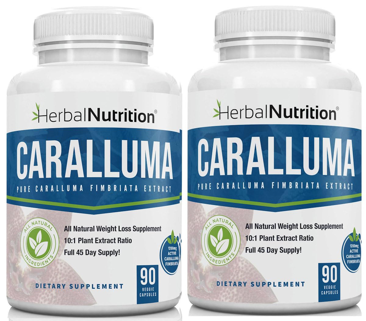 Herbal Nutrition Caralluma Fimbriata 1200mg 10:1 Extract Appetite Support Capsule, 2 Capsules