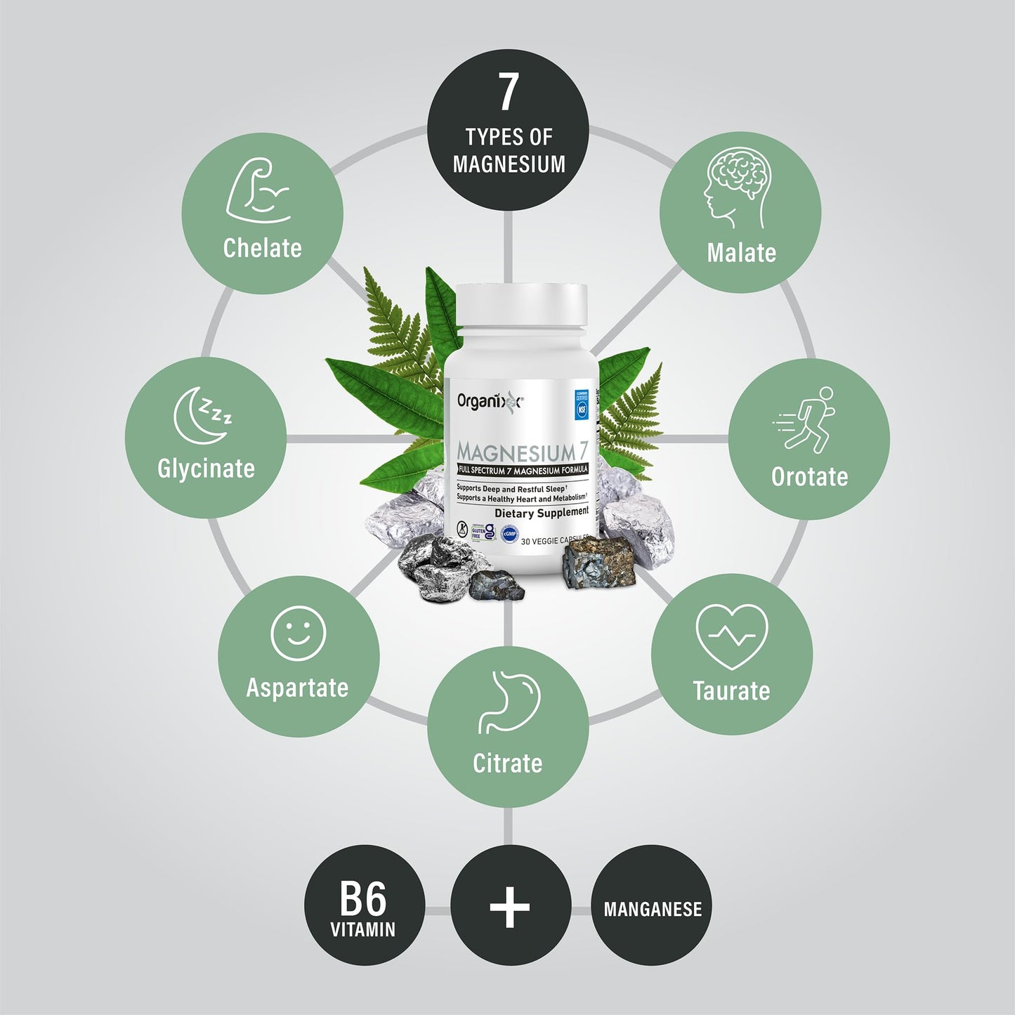 Organixx Magnesium Supplement Capsules 30 Count