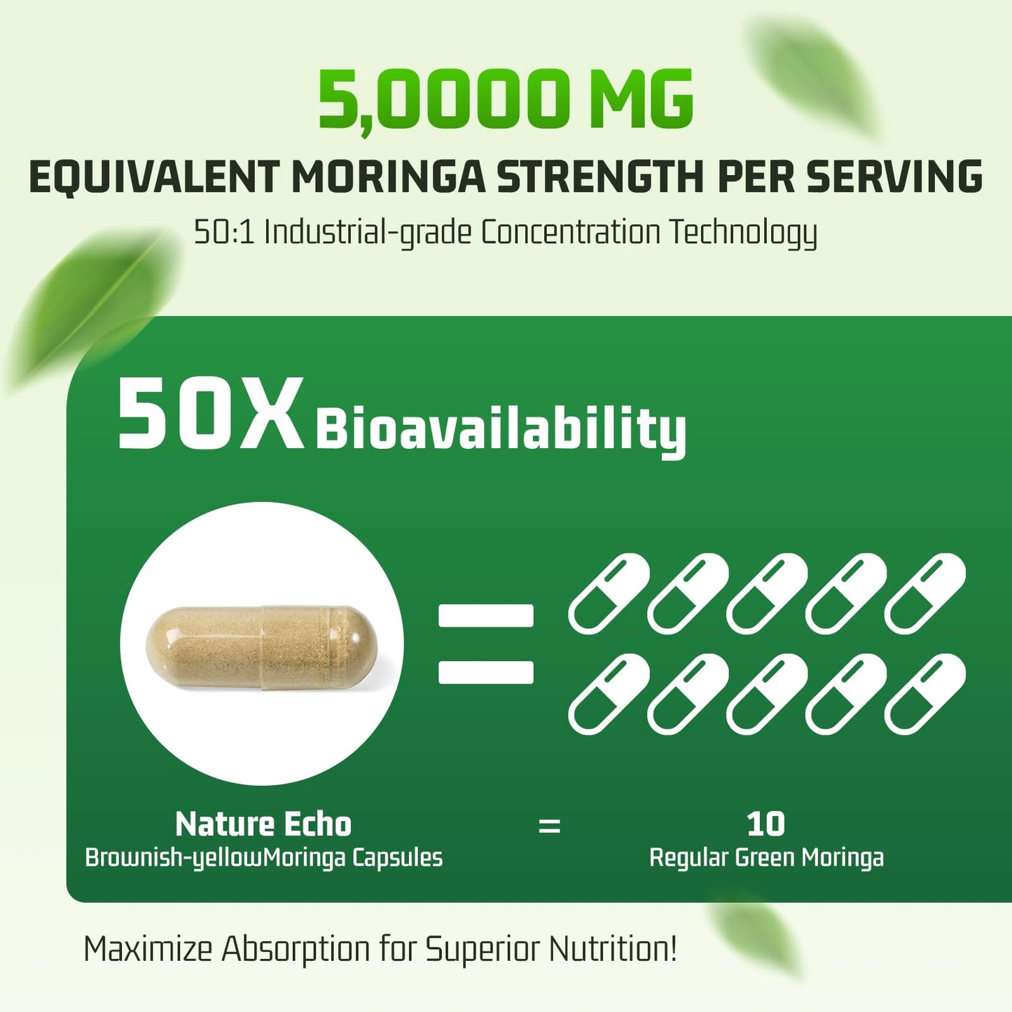 Nature Echo Moringa Capsules 1000mg 50:1 High Potency Extract, Vegan, Non-GMO, Gluten Free, 120 Capsules