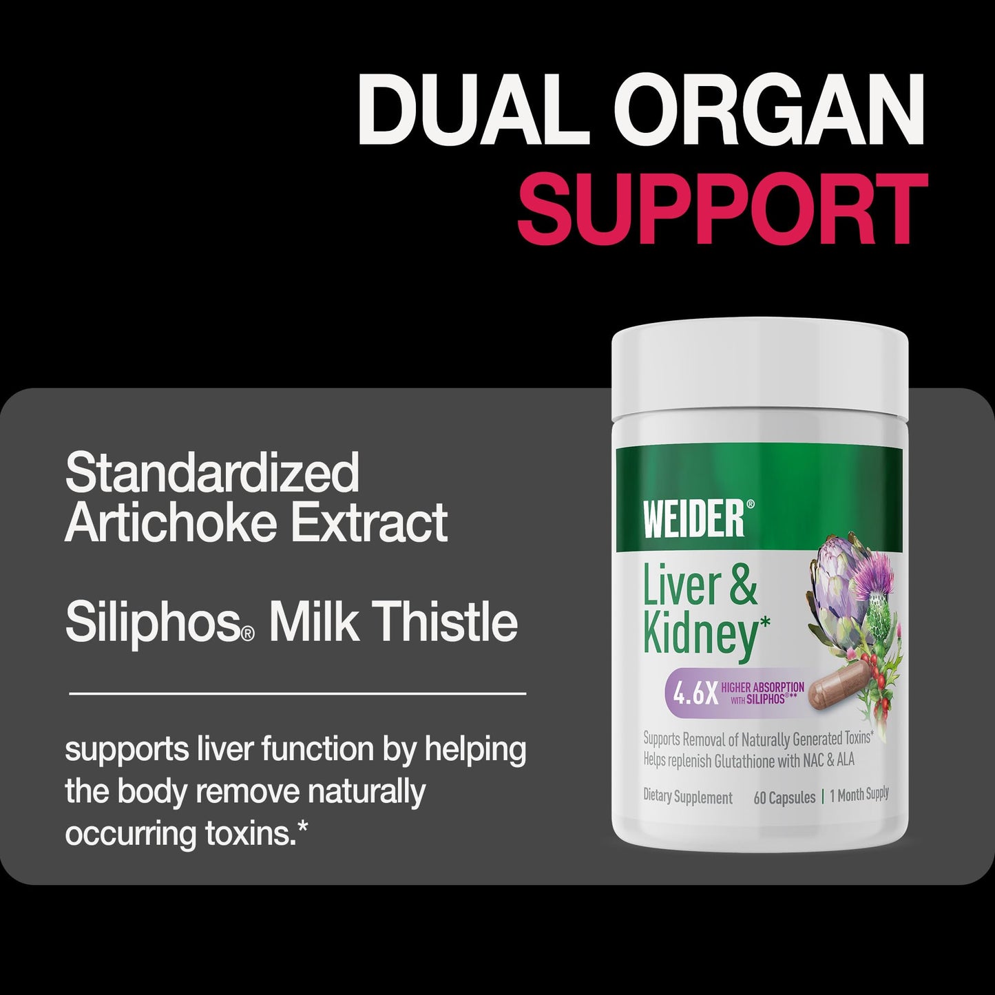 Weider Liver & Kidney Support - Antioxidant Complex with Milk Thistle Extract, NAC & Alpha Lipoic Acid - Daily Liver & Kidney Supplement for Cellular Health Support, 60 Veggie Capsules
