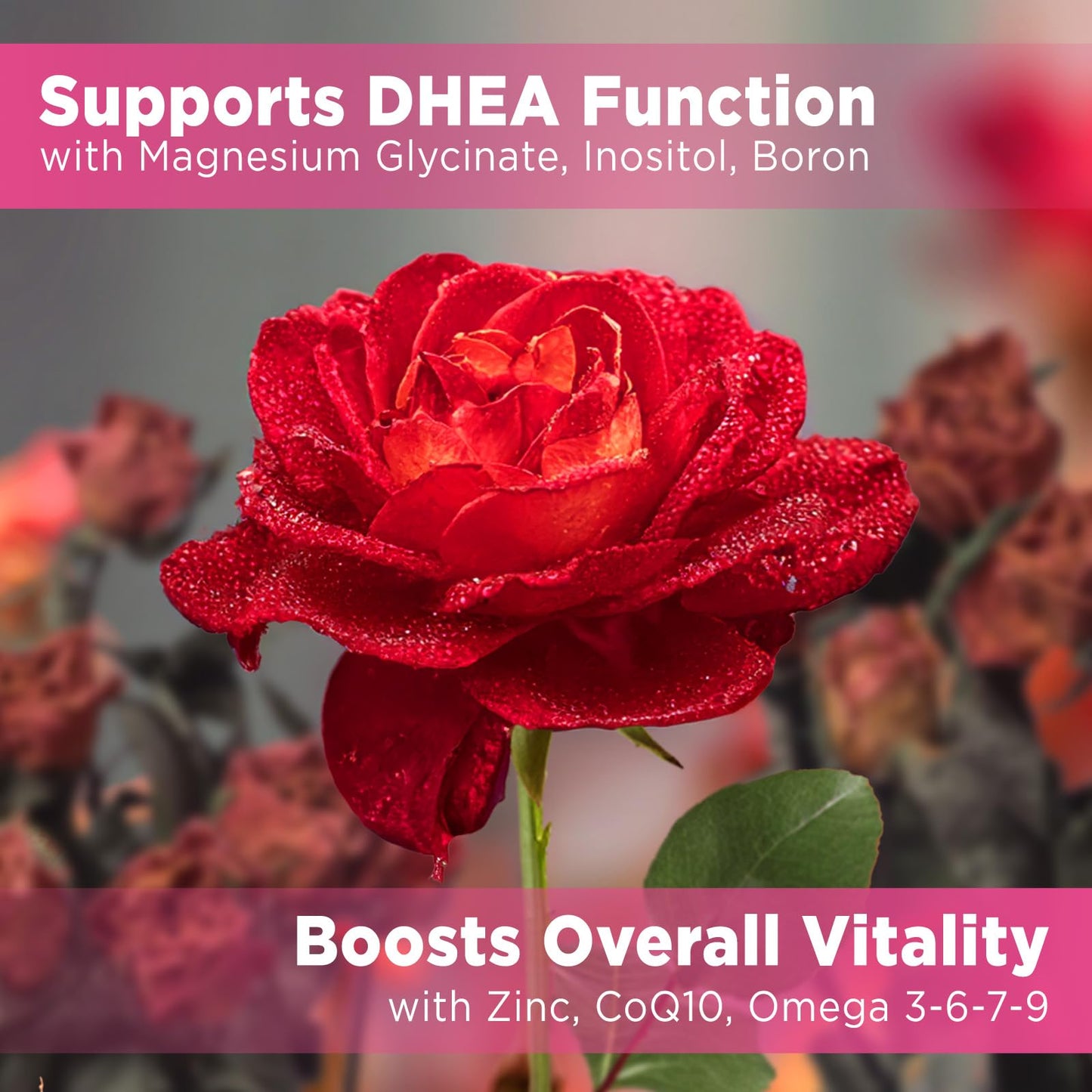 NATISLAND DHEA Gummy Supplement for Women, 25 mg per Gummy, 60 Gummies