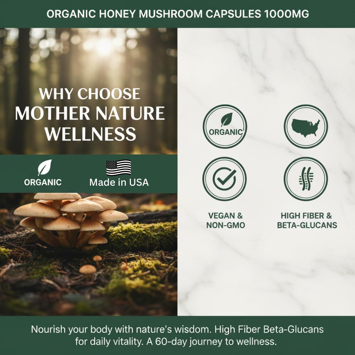 Mn Mother Nature Inc Mother Nature Honey (Armillaria mellea) Mushroom Supplement Capsule 120
