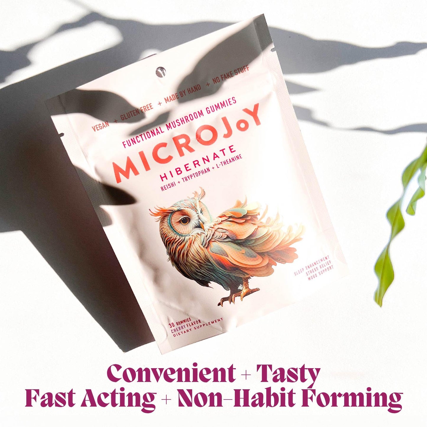 Microjoy Hibernate Sleep Aid with Reishi Mushroom Gummies 30 Count