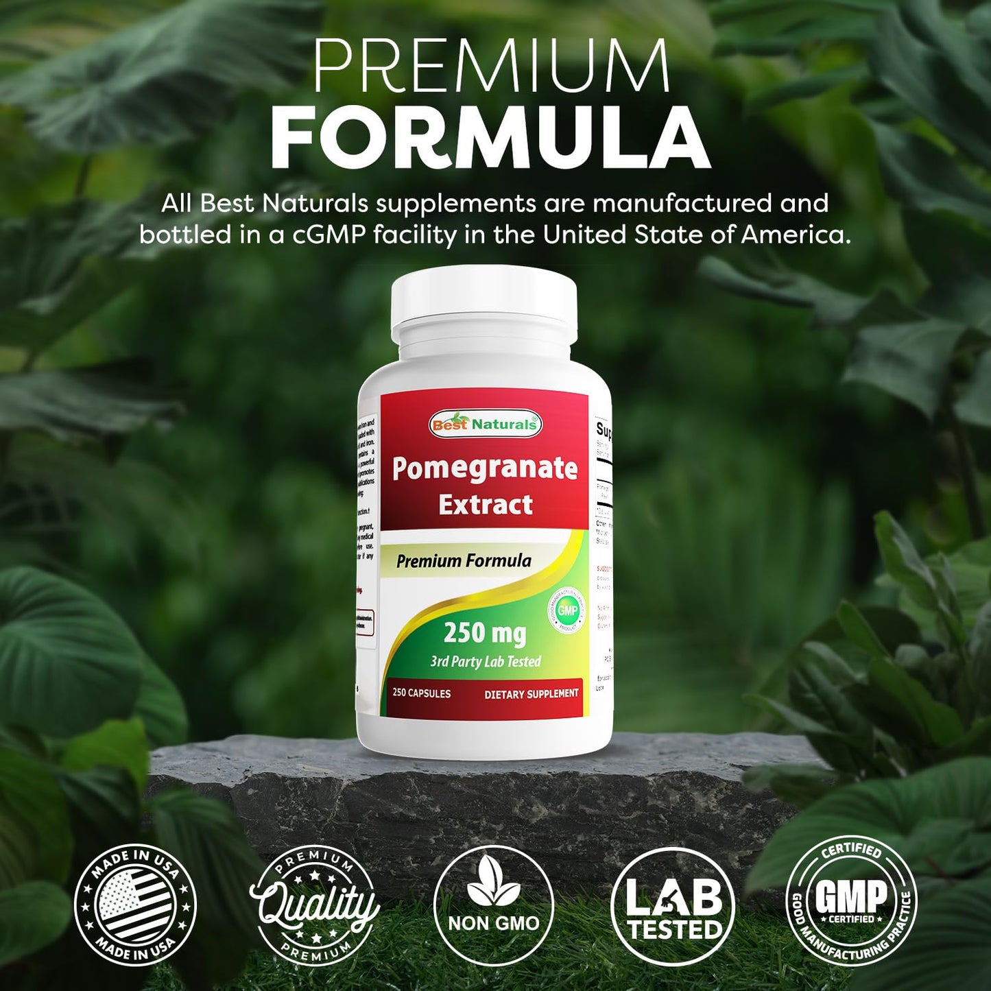 Best Naturals Pomegranate Extract 250 mg Capsule, 250 Count