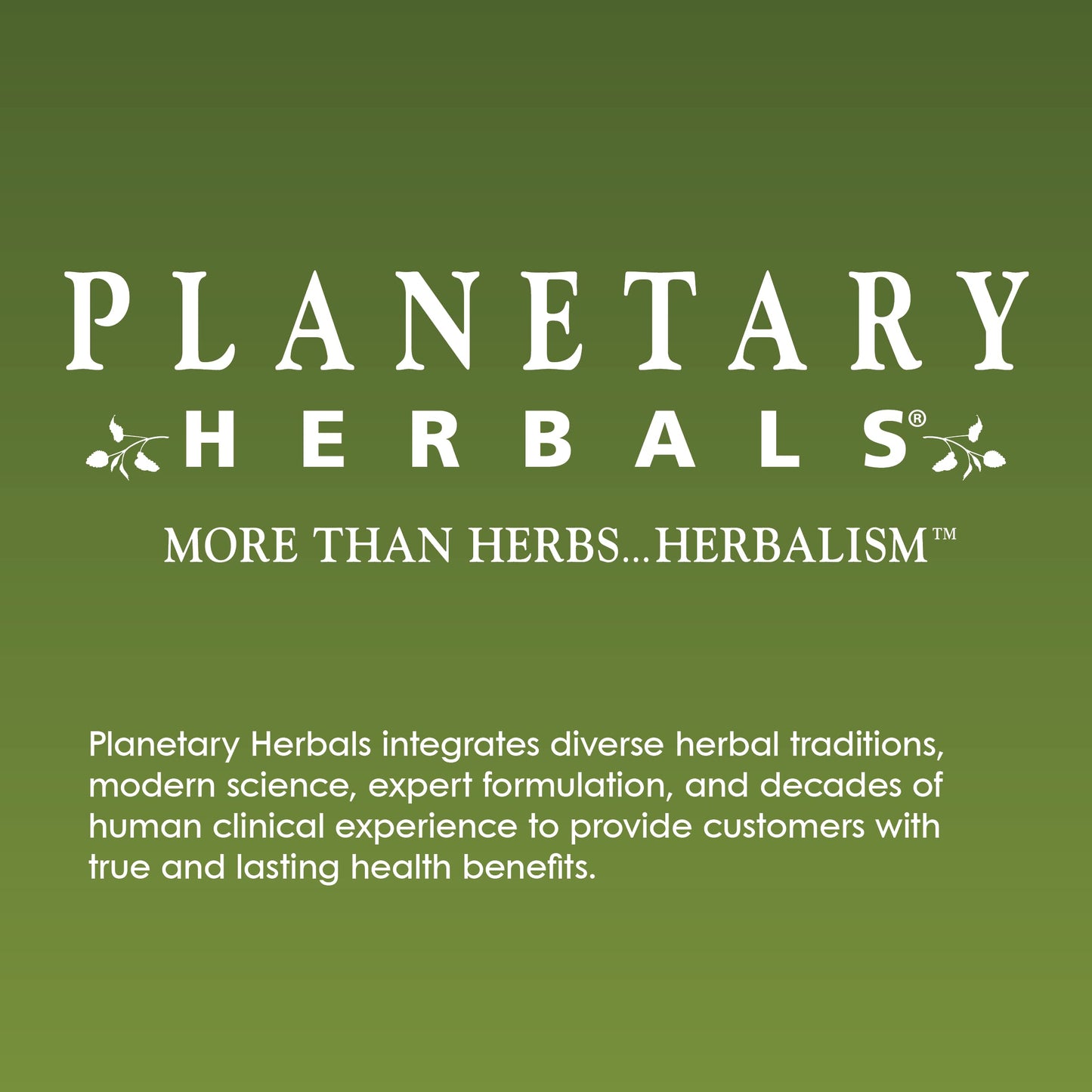 Planetary Herbals Stone Free Tablets, 90 Count