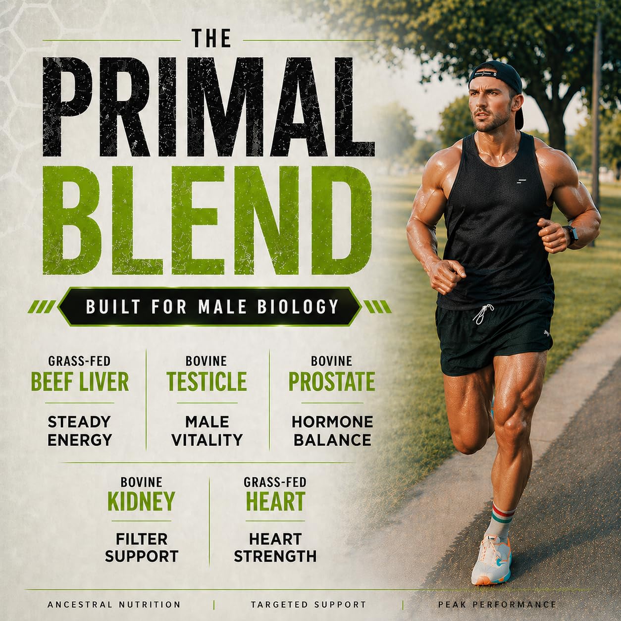 PRIMAL FURY Grass Fed Beef Organ Supplement for Men Capsules 90 Count