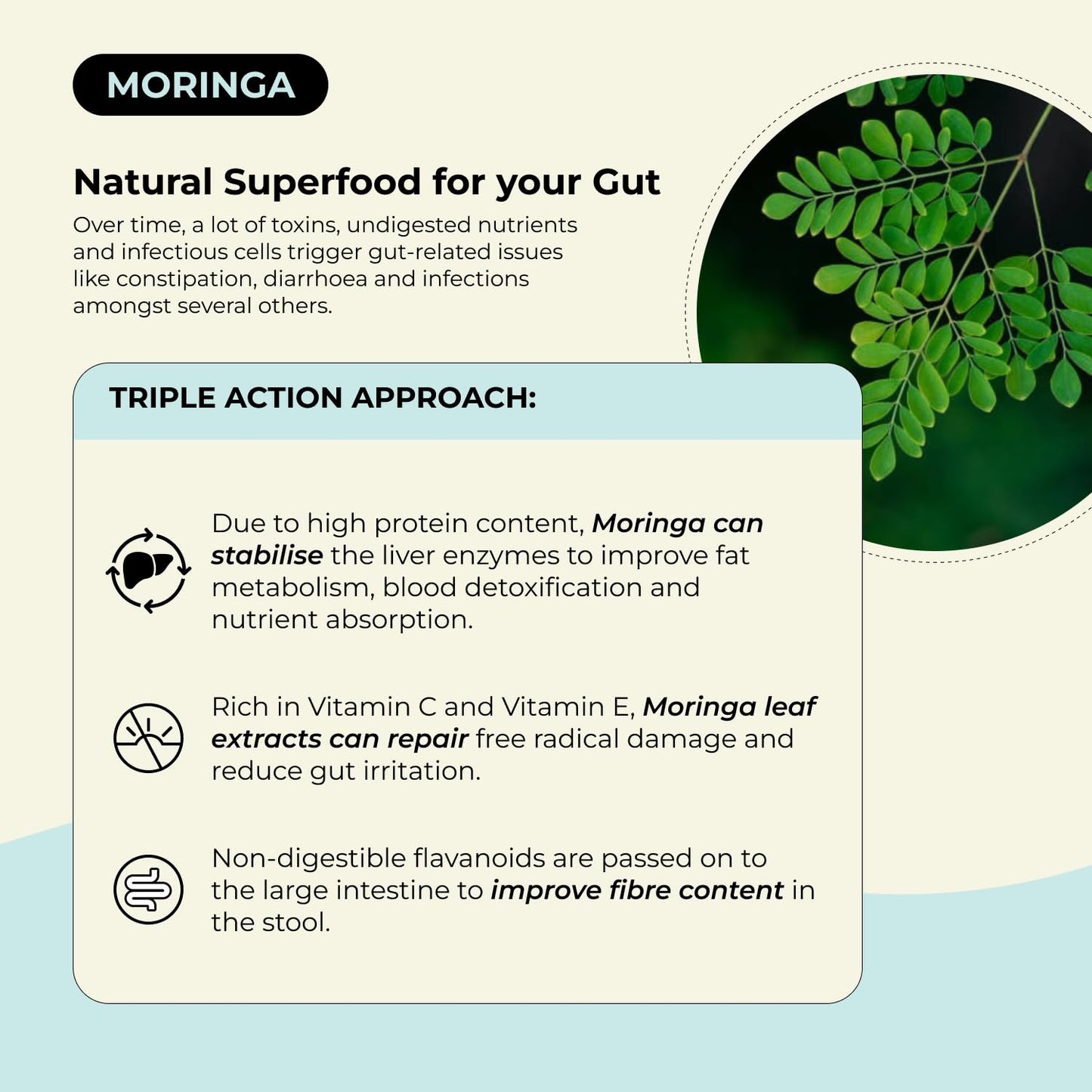 VEDICBLOOM Moringa Antioxidant Effervescent Tablets 40 Tablets