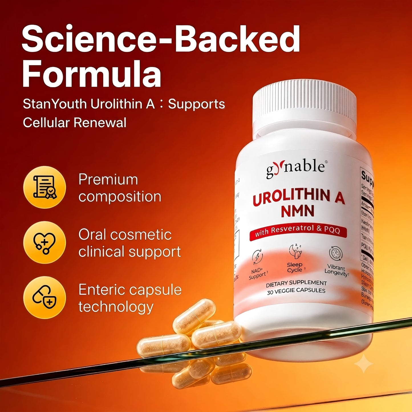 Vevoec Gynable Urolithin A Supplement with NMN & PQQ, Cellular Energy Capsules, 90 Capsules