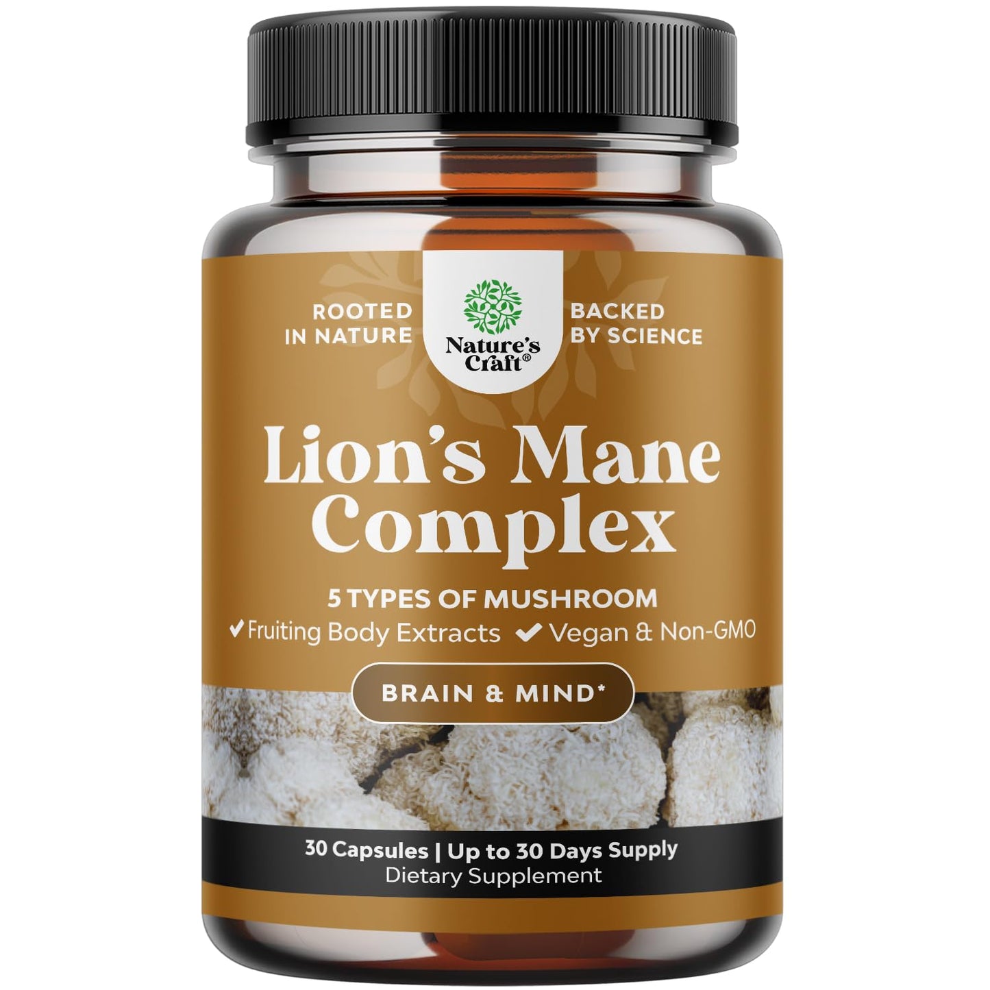 Natures Craft Lion's Mane Mushroom Capsules for Brain Fog with Reishi & Chaga, 30 Count