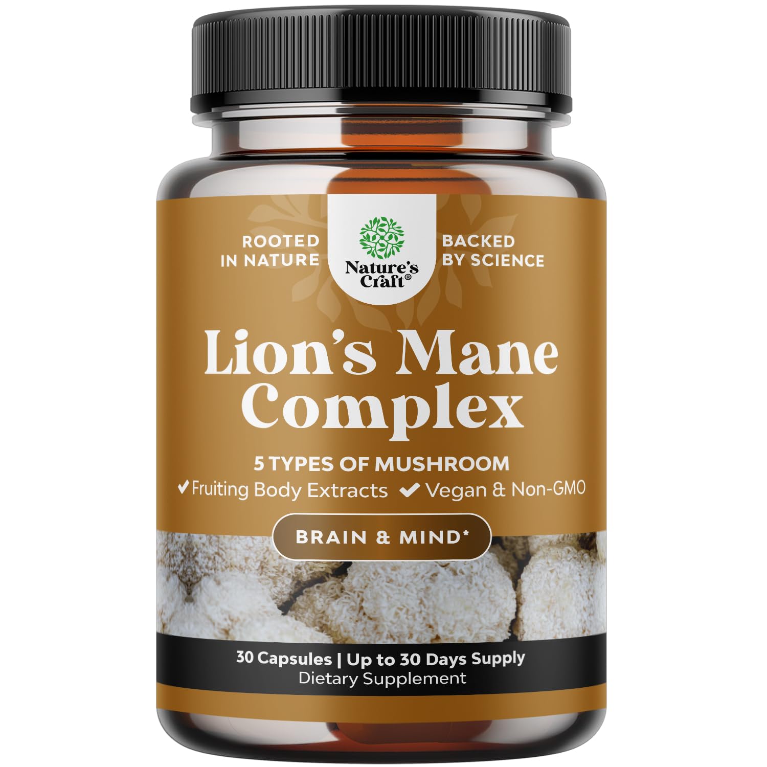Natures Craft Lion's Mane Mushroom Capsules for Brain Fog with Reishi & Chaga, 30 Count