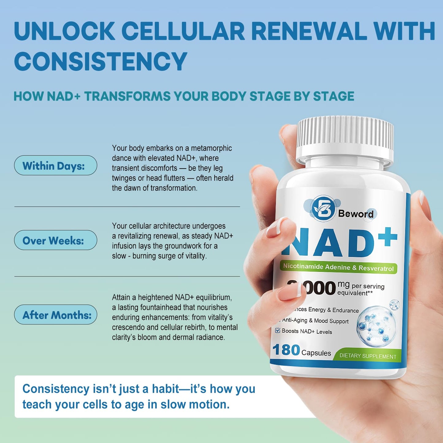 BEWORD Liposomal NAD 2000 Mg, 360 Capsules