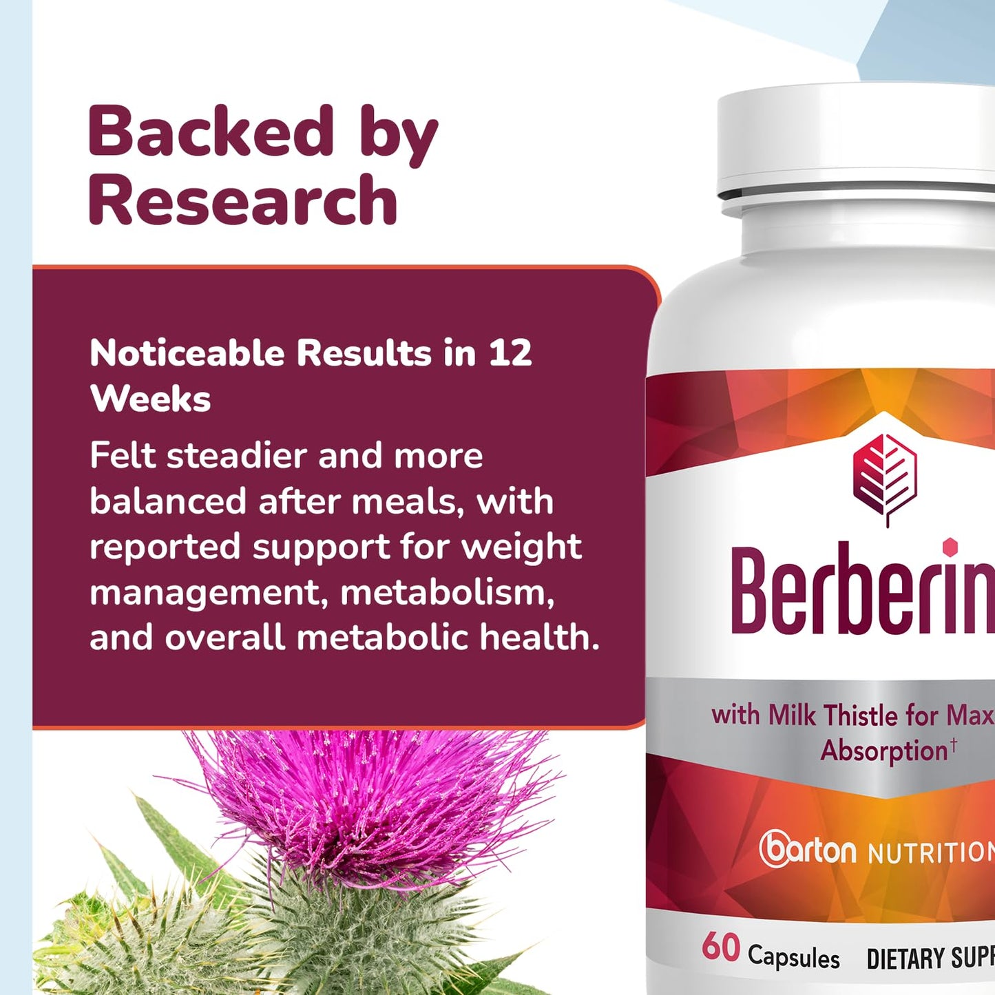 Barton Nutrition Berberine Supplement 800mg with Milk Thistle Capsule 1 Count