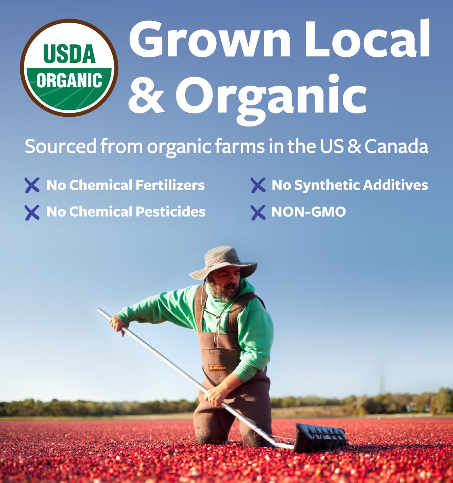 PURE CO Organic Cranberry Powder 3.53 oz