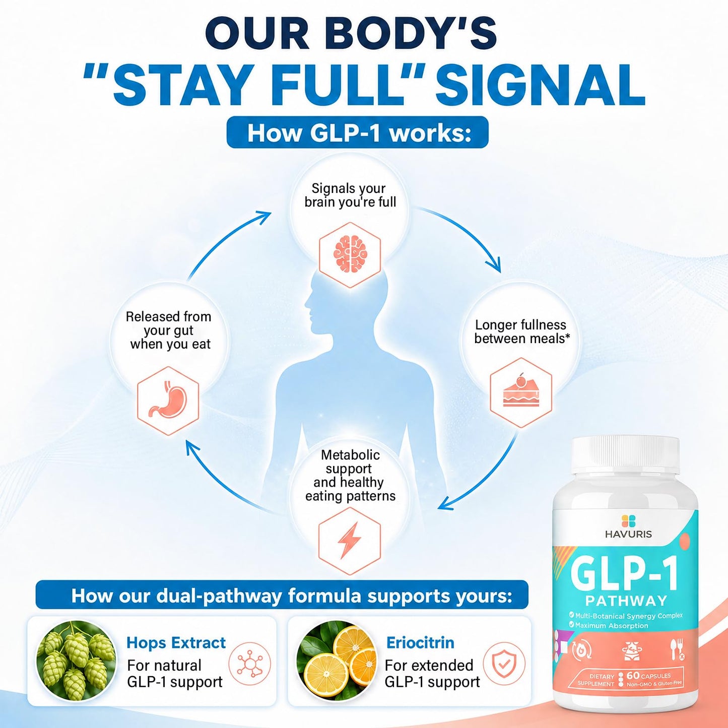 Havuris GLP-1 Probiotic Complex with Prebiotic, EGCG & Hops 60 Capsules