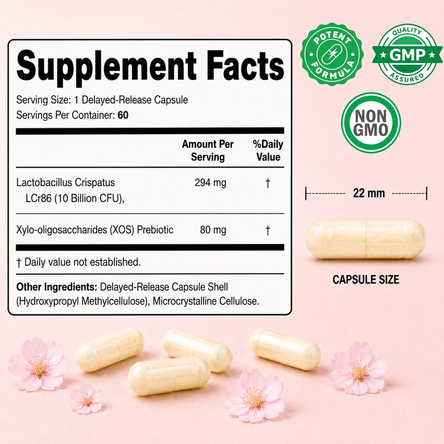 Vitamatic Lactobacillus Crispatus 10 Billion CFU with XOS Prebiotic, Delayed-Release Probiotic Capsules, 60 Capsules