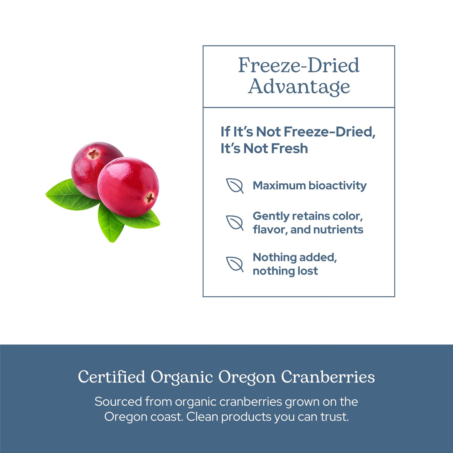 Eclectic Institute Premium Freeze Dried Cranberry Capsules, Urinary Tract Support, 90 Count