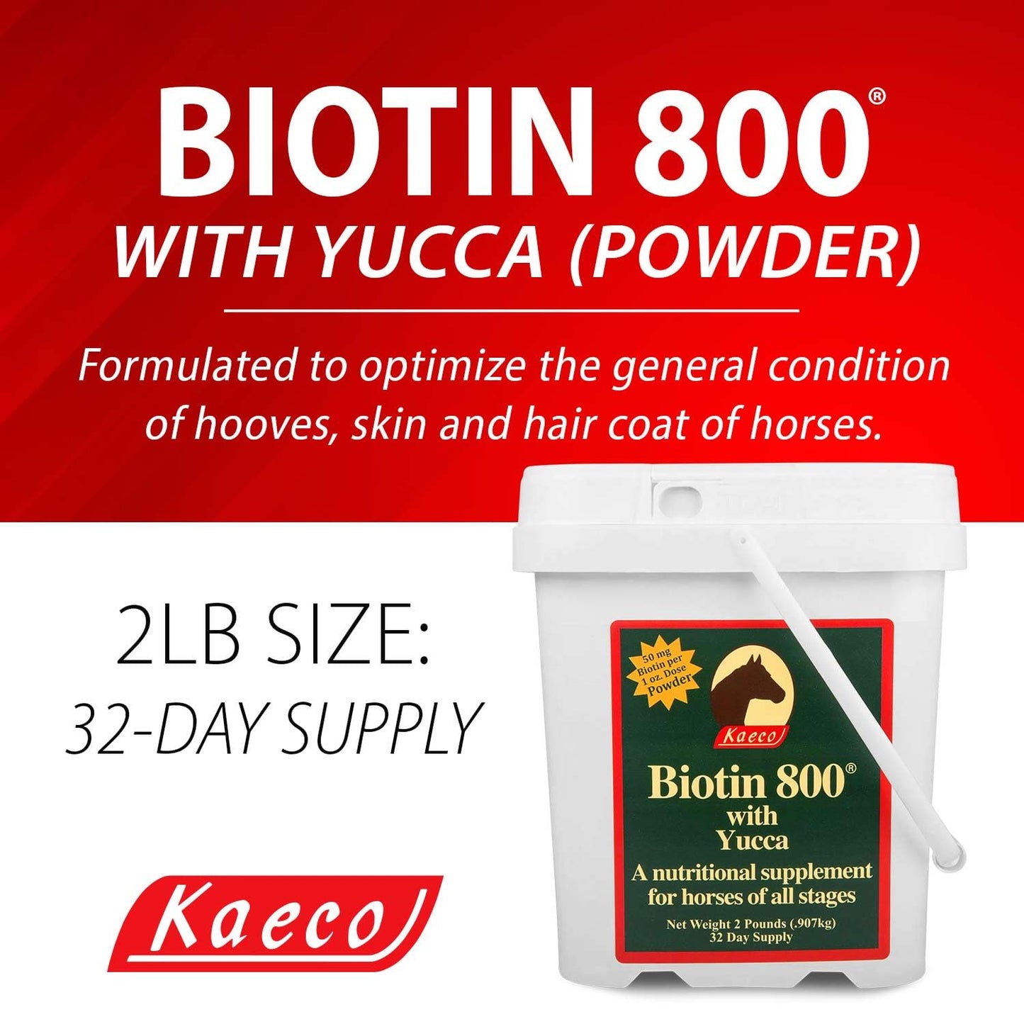 Kaeco Biotin 800 Powder 1