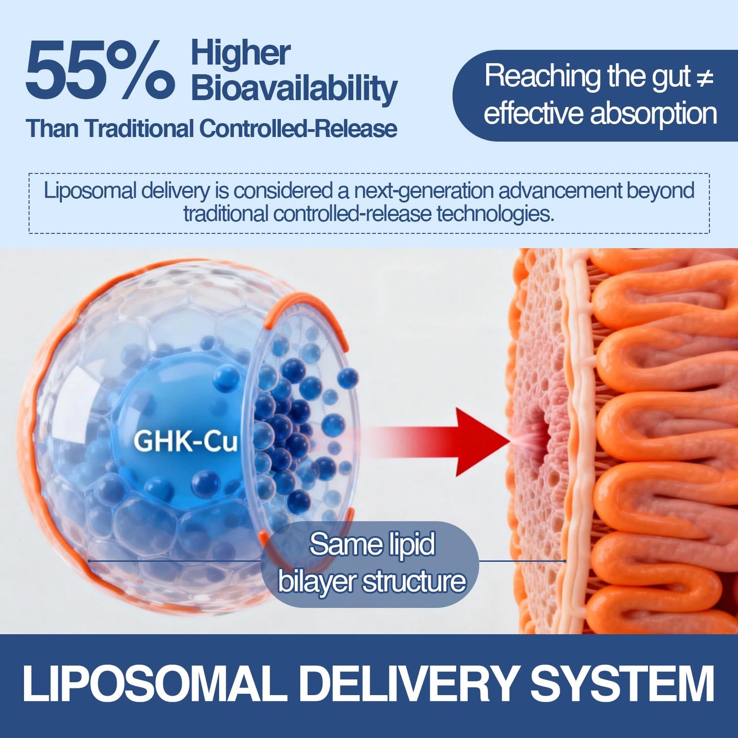Trawecual GHK-Cu Peptide with Liposomal Delivery for Hair & Skin Support 2mg GHK-Cu Capsules, 240 Count