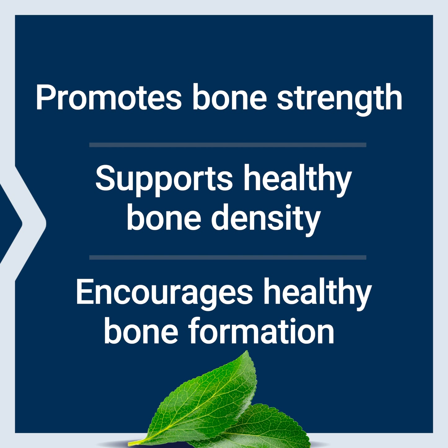 Life Extension Bone Restore with Vitamin K2 Capsules 240