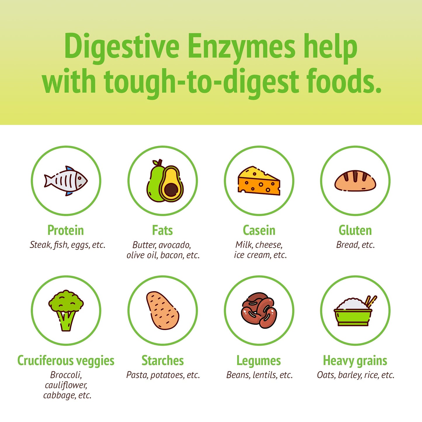 Smidge Digestive Enzymes – Comfy Digestion – Lipase & Protease, 120 Capsules