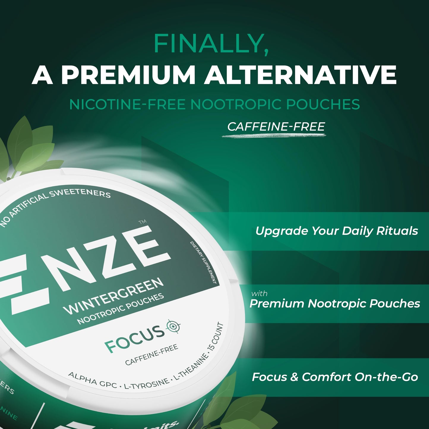 NZE Caffeine Free Nootropic Caplets with Alpha GPC, L-Tyrosine & L-Theanine, Wintergreen, 5 Caplets
