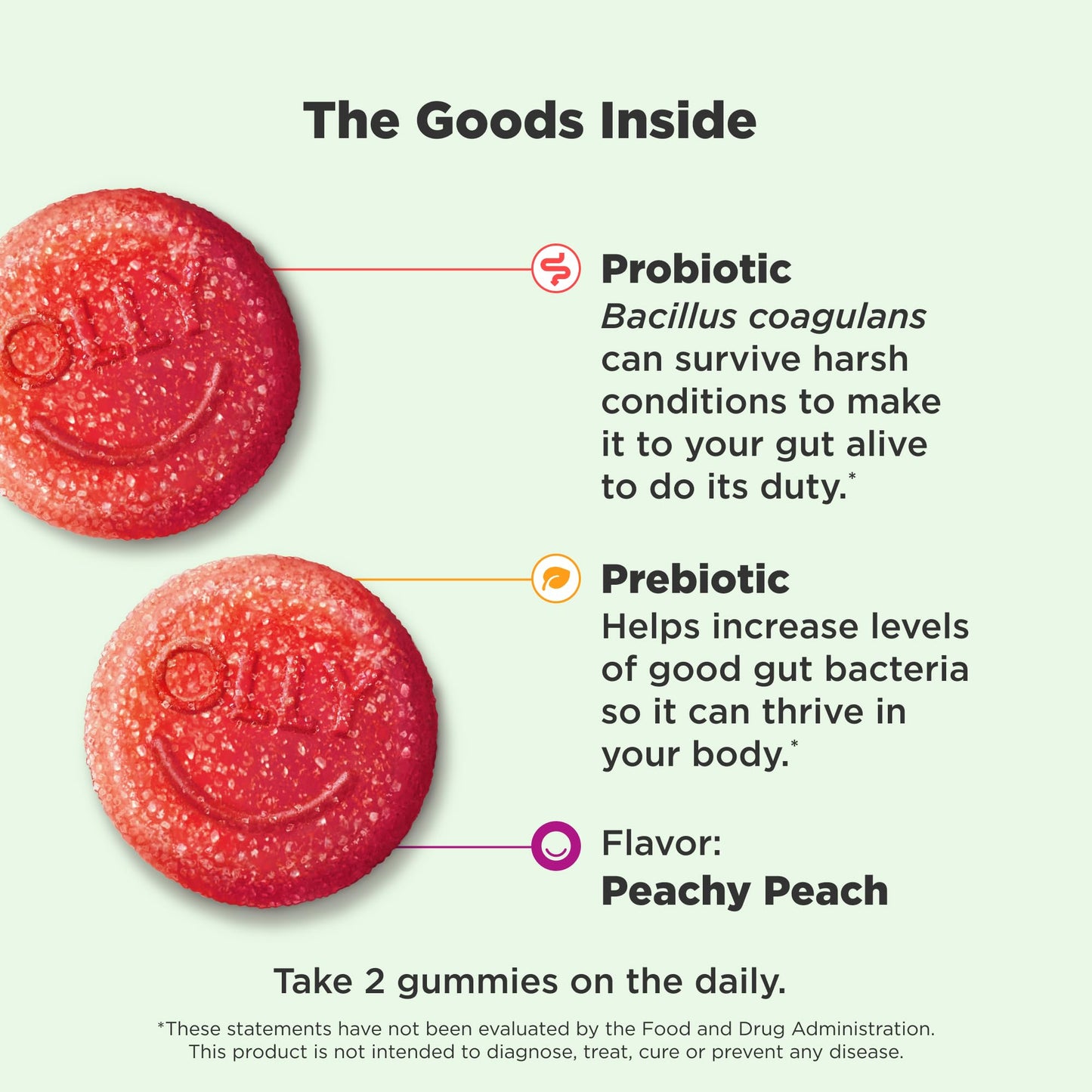 OLLY Probiotic + Prebiotic Gummy, 120 Count