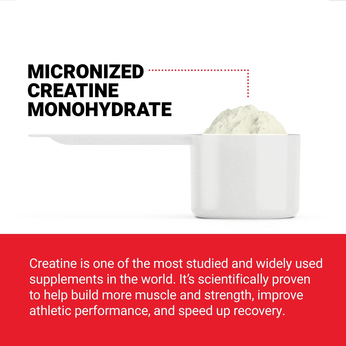 Force Factor Creatine Powder 60 Servings and Caffeine Tablets 100 Tablets
