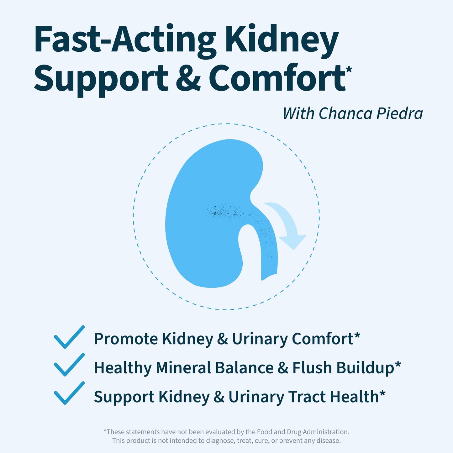 Renavive Kidney Cleanse Premium Kidney Support Capsules, 180 Capsules