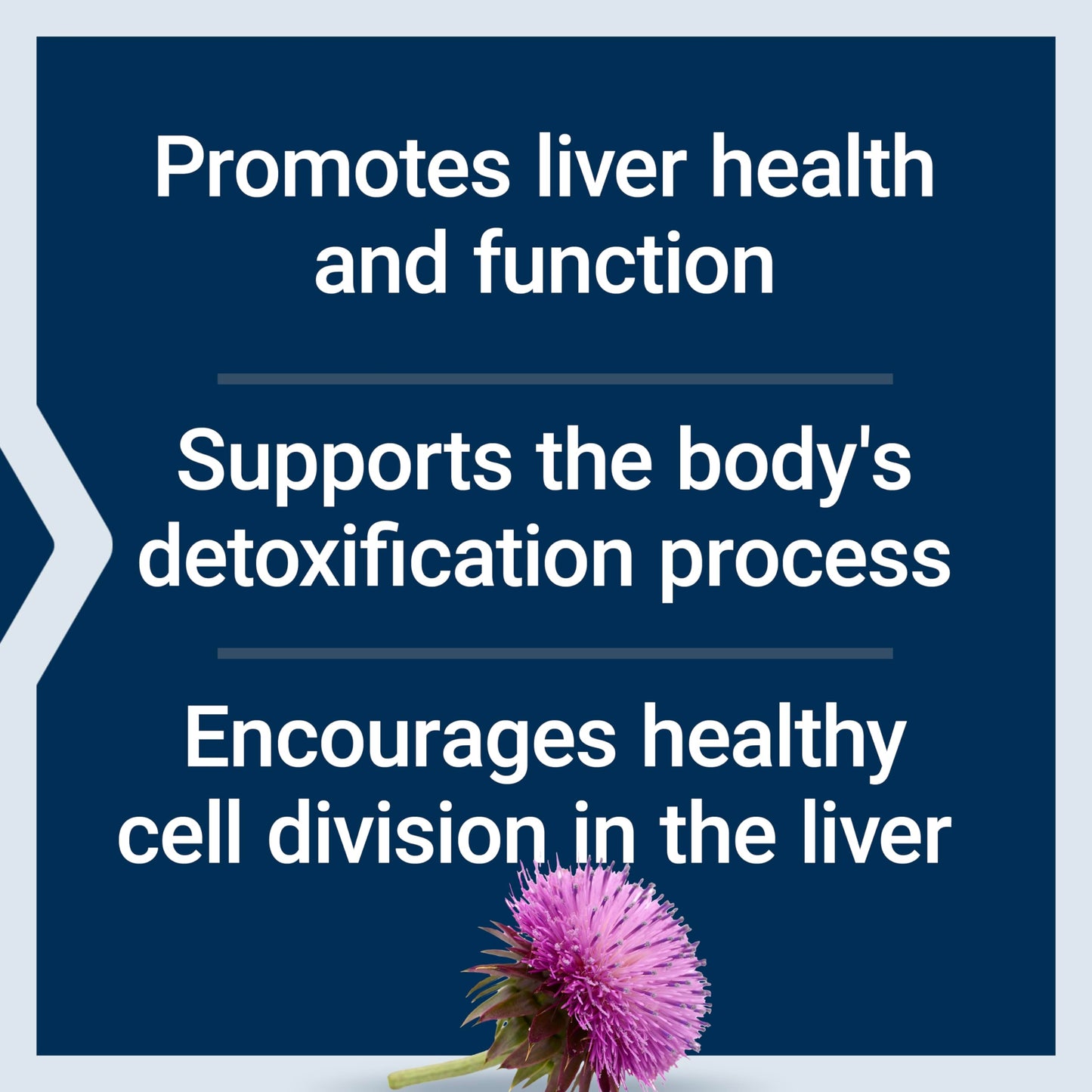 Life Extension Milk Thistle Capsules, 60 Capsules