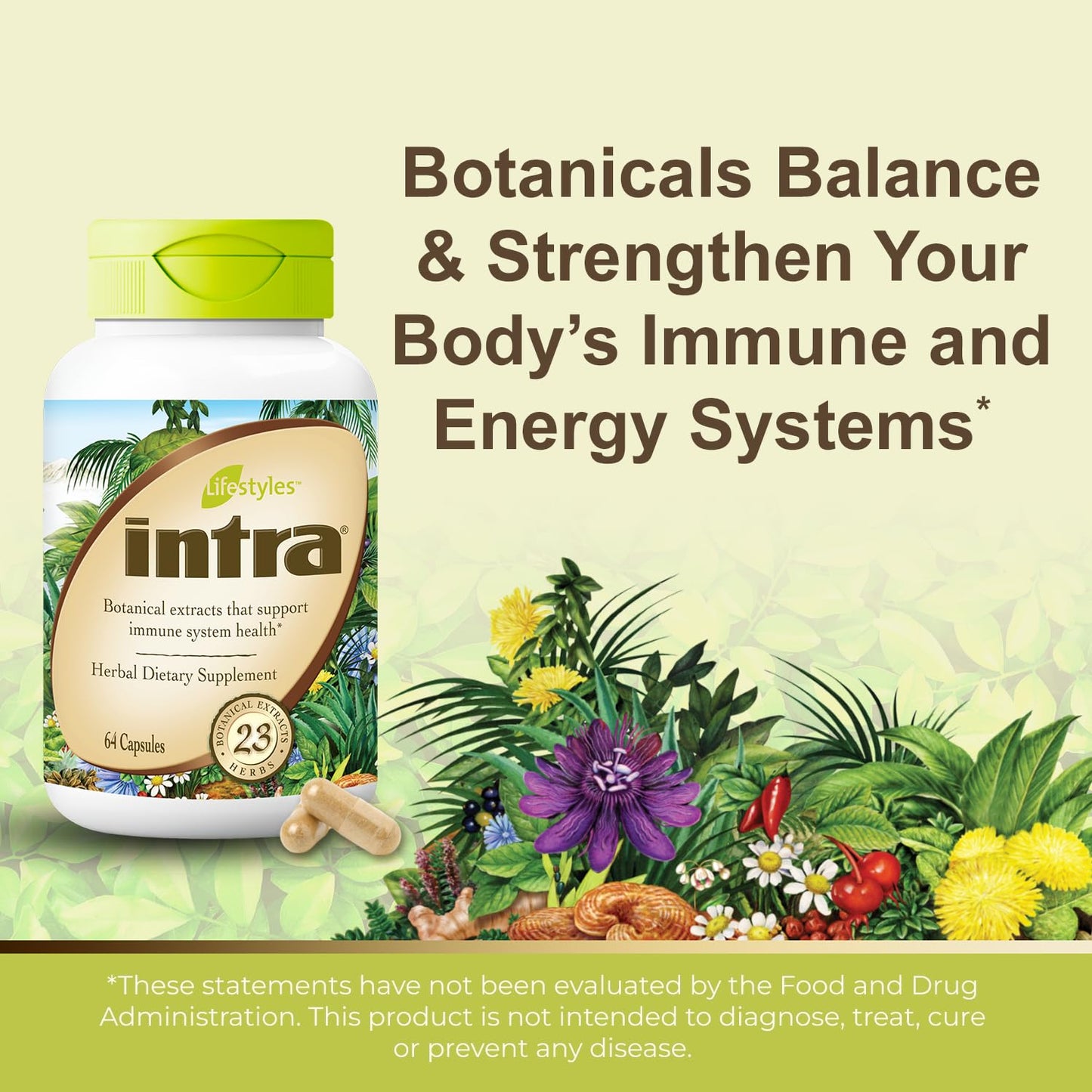 Intra Lifestyles Capsules Pack of 4
