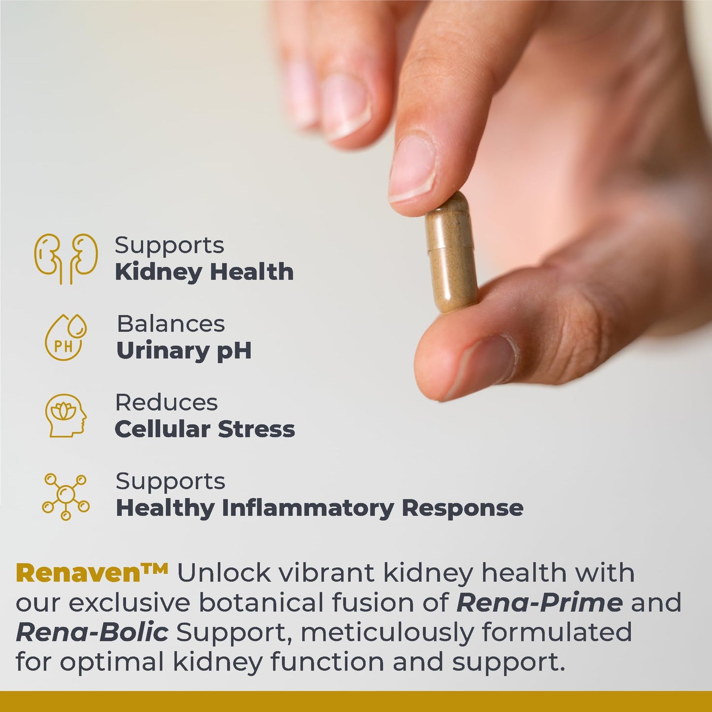 Premier Research Labs RenaVen Kidney Support Capsules 60 Count