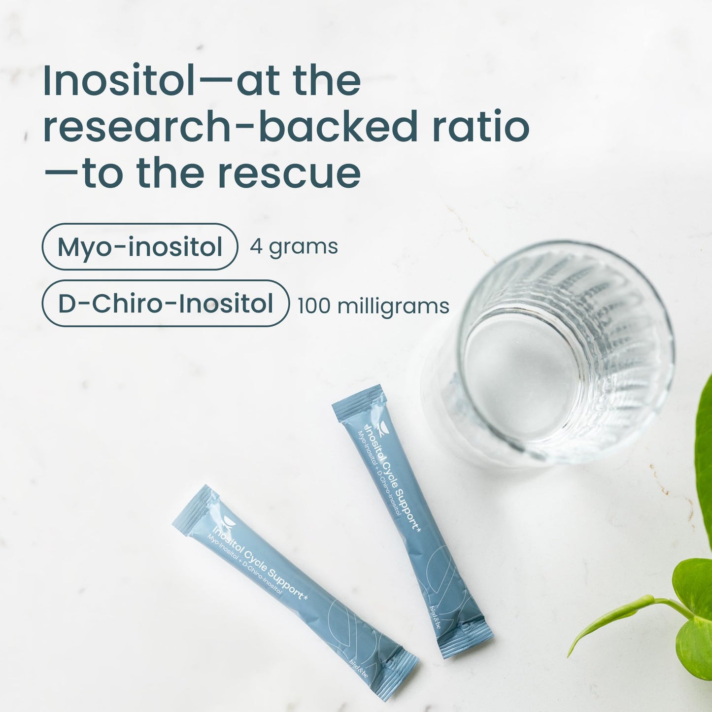 bird&be Inositol Powder Supplement - Myo-Inositol & D-Chiro-Inositol, 19 Ounces