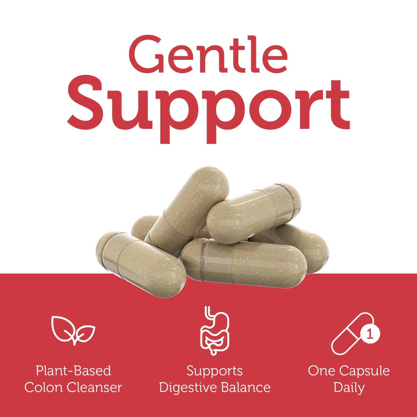 Zahler Daily Cleanse, Digestive Cleanse & Detox Formula Capsule 60 Capsules