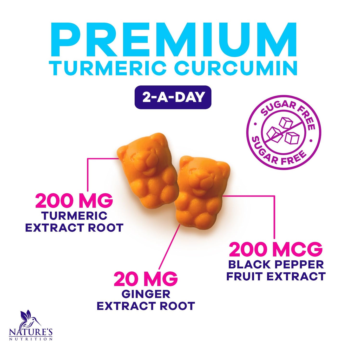 Nature's Nutrition Turmeric Curcumin Gummies 60 Count