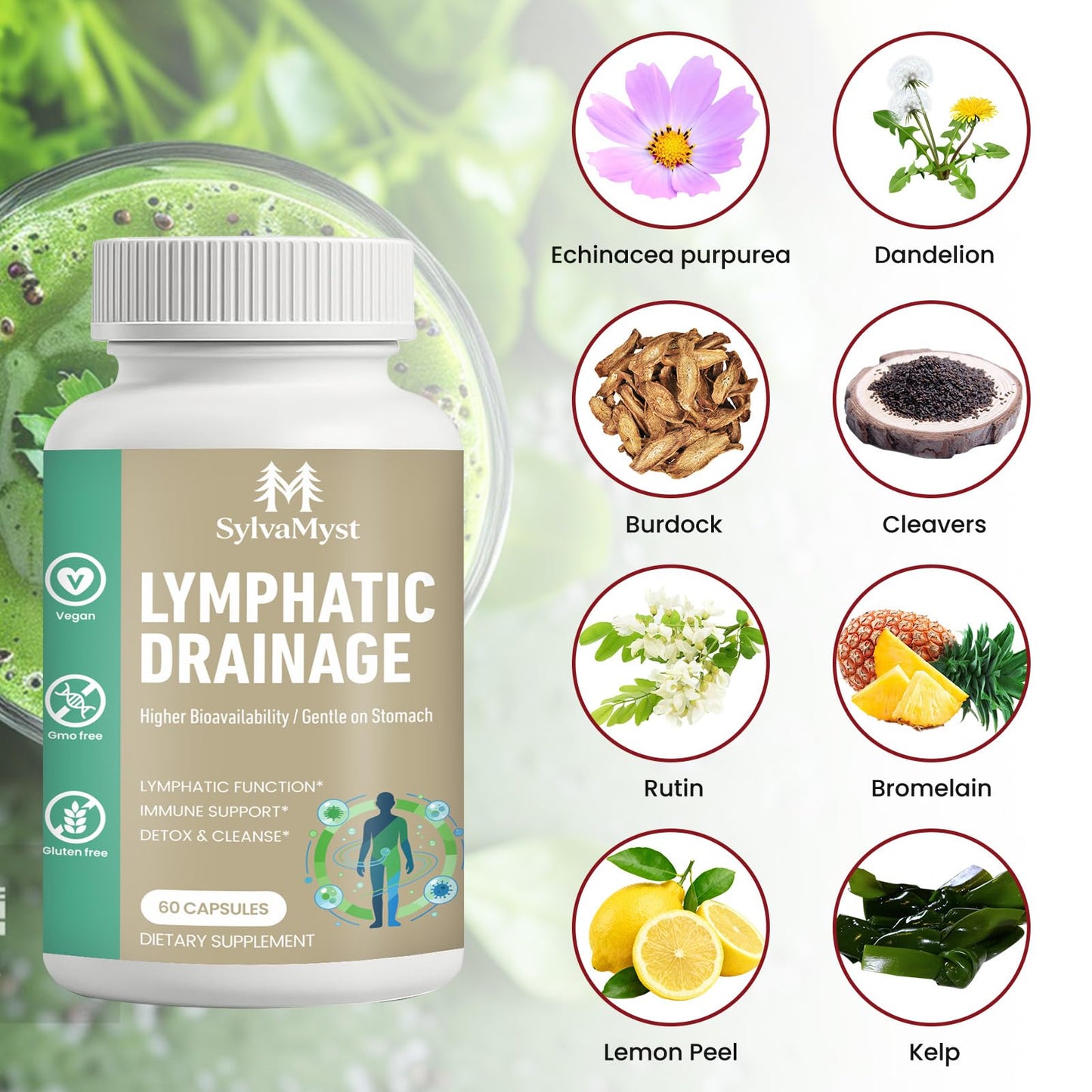 SylvaMyst Natural Lymphatic Support Capsules, Advanced Herbal Formula for Lymph System, Immune Health & Fluid Balance, Non-GMO, 60 Capsules