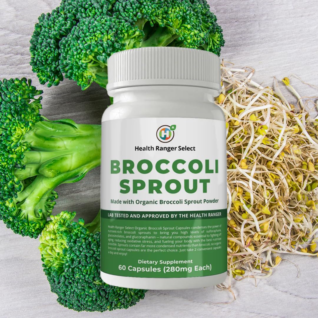 GROOVY BEE Broccoli Sprouts Capsules 60 Count