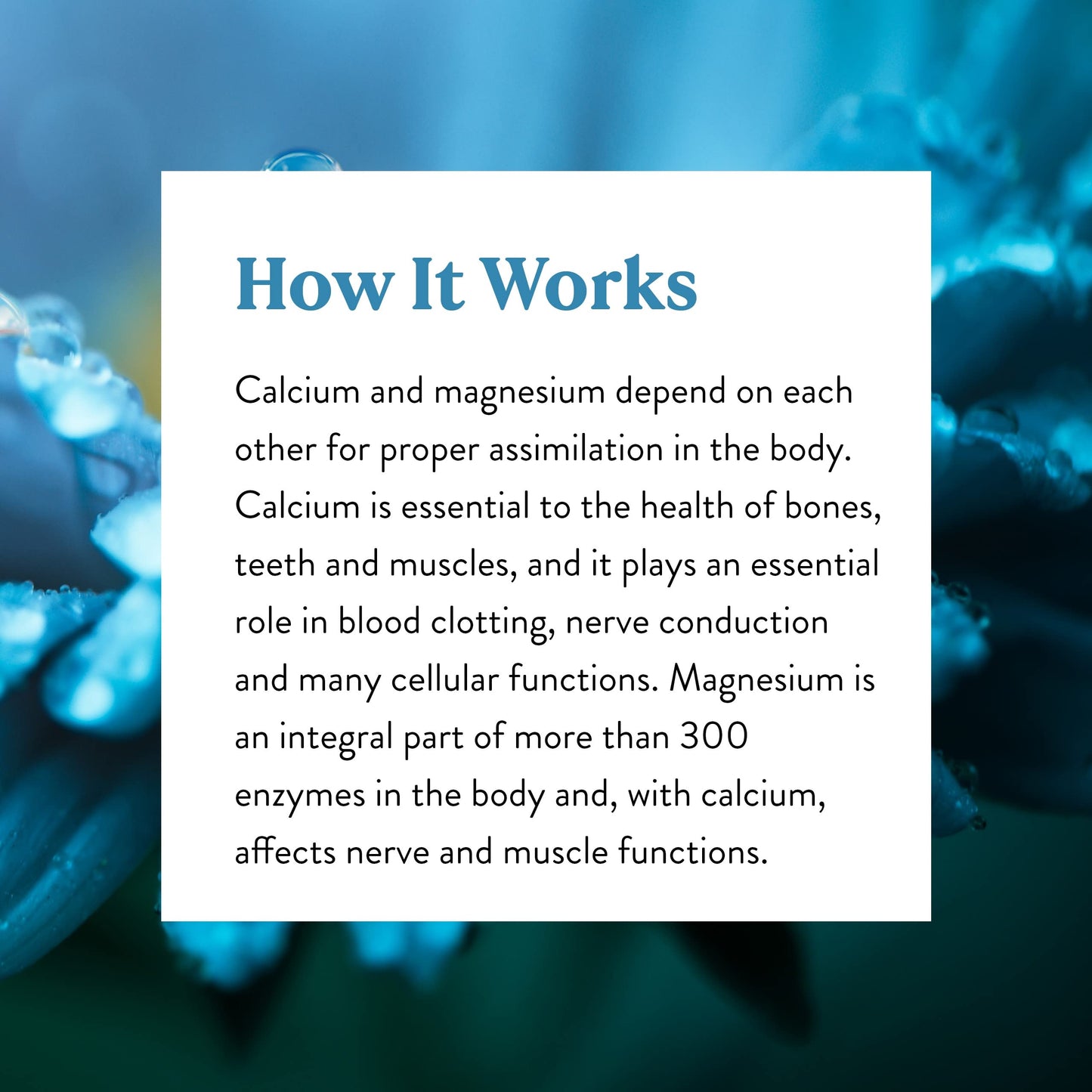 Nature's Sunshine Calcium-Magnesium SynerPro Tablet, 150 Count