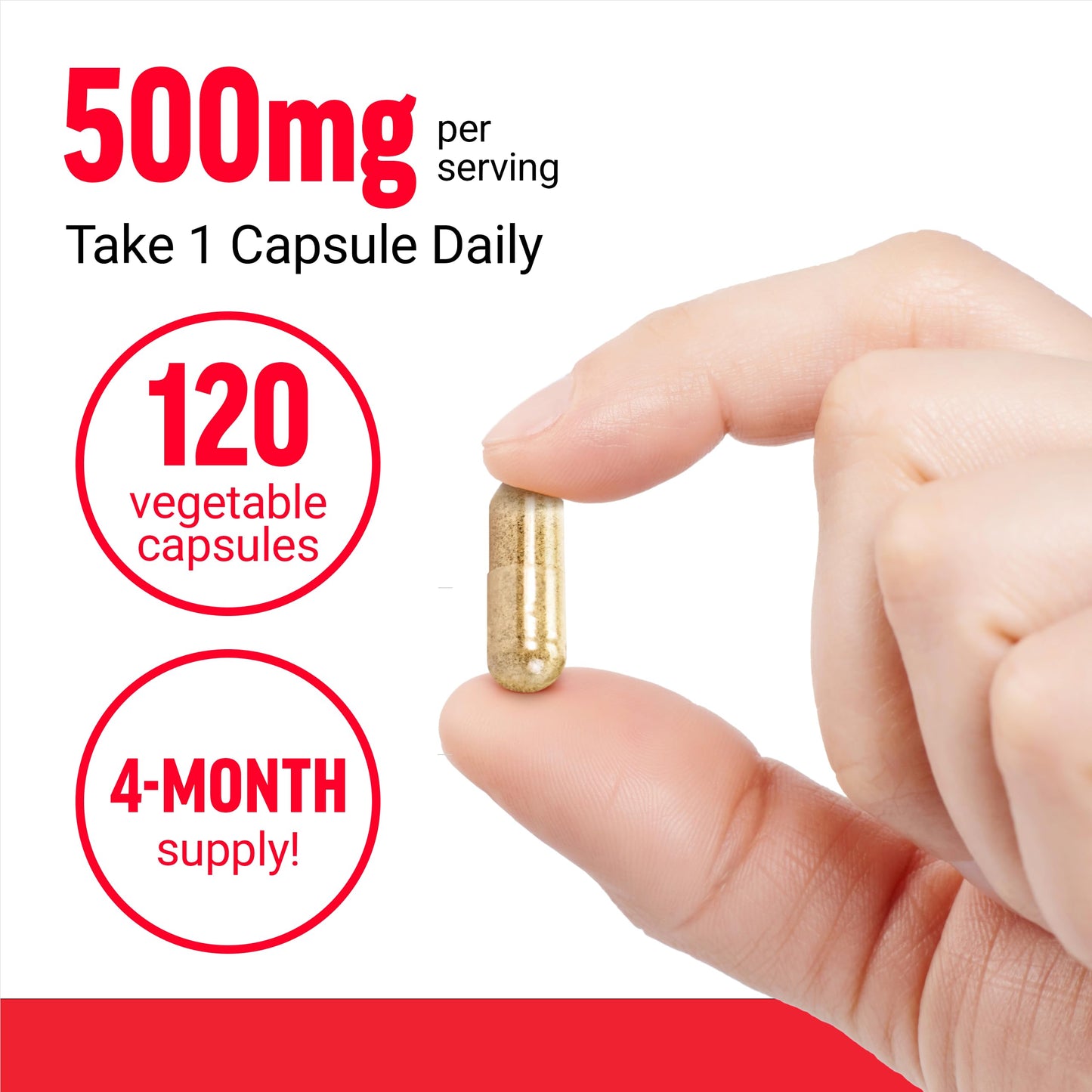 Force Factor Boswellia Extract Capsules 120