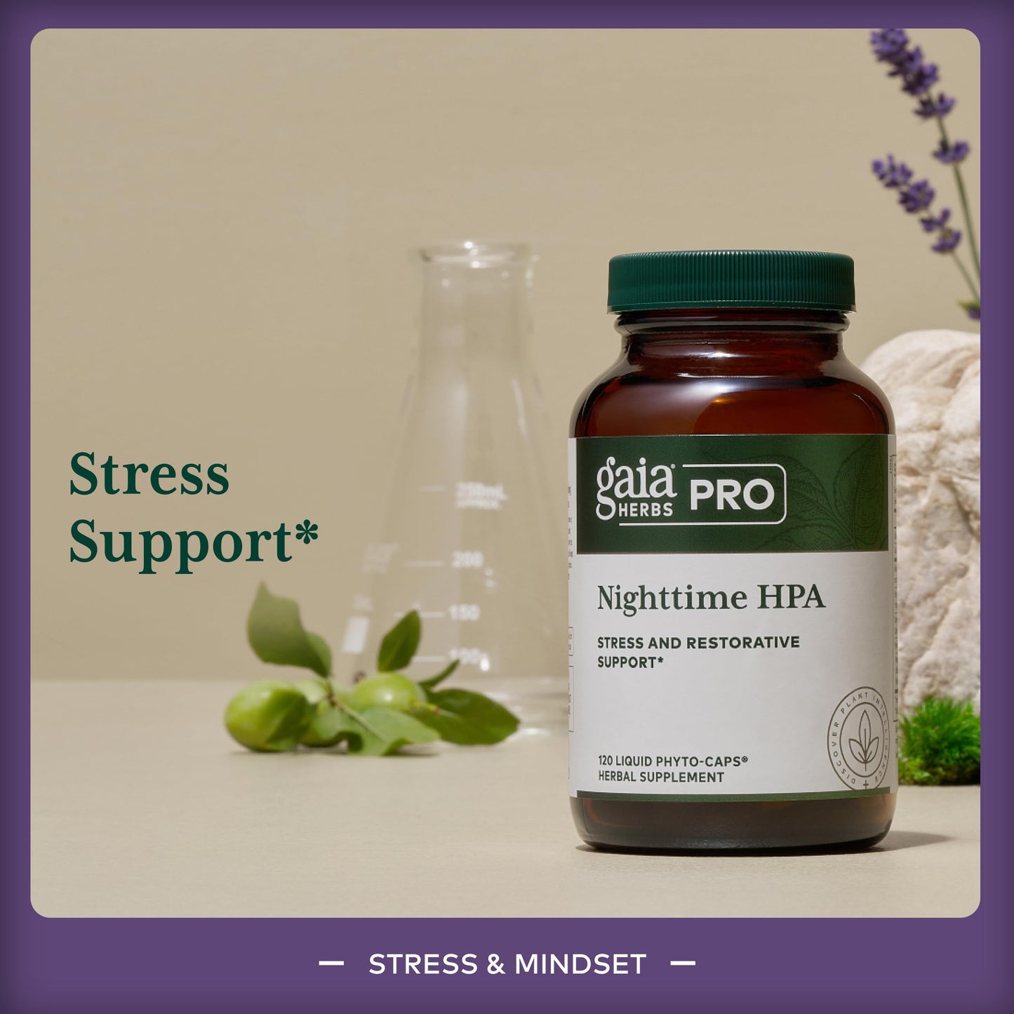 Gaia Herbs Pro Nighttime HPA Restorative & Healthy Sleep Support Supplement with Ashwagandha Root Extract & Cordyceps Mushroom Capsules, 120 Count