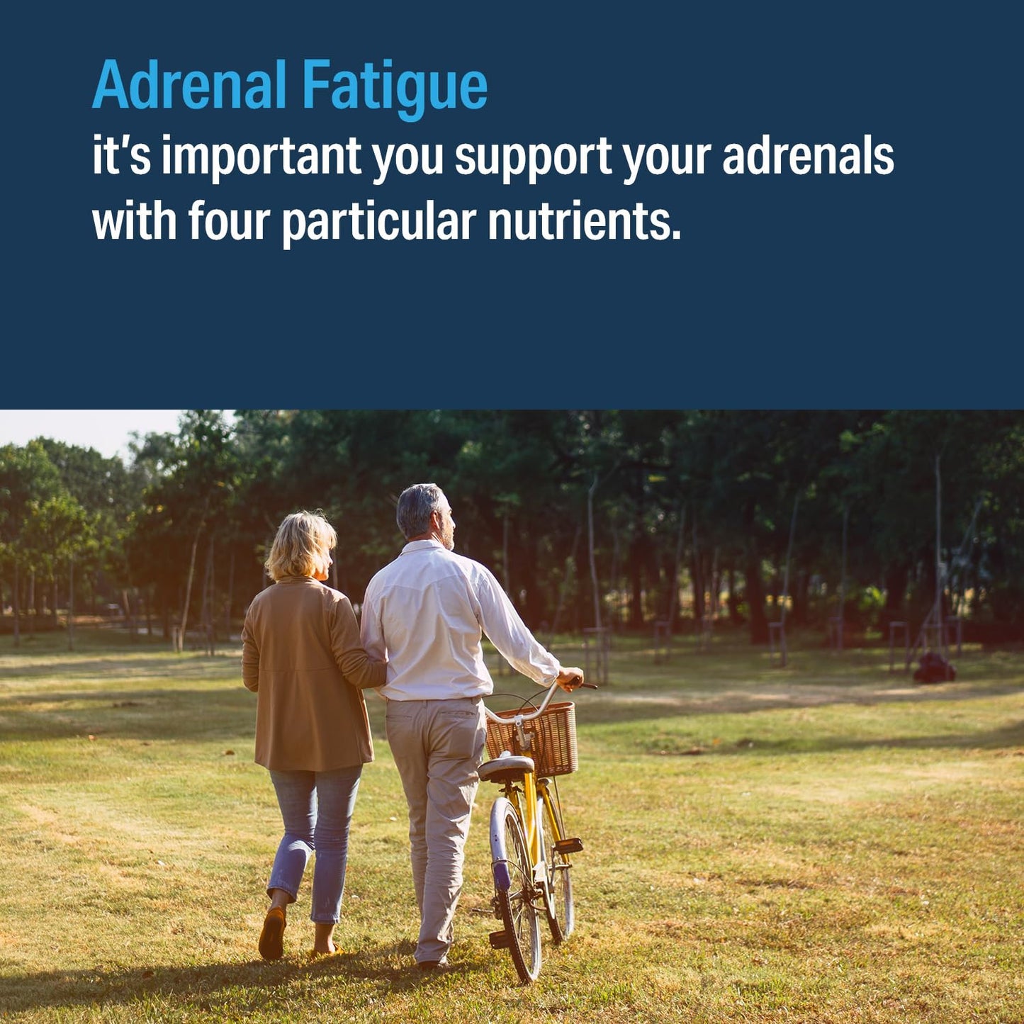 Advanced Bionutritionals Advanced Adrenal Factor 120 Tablets