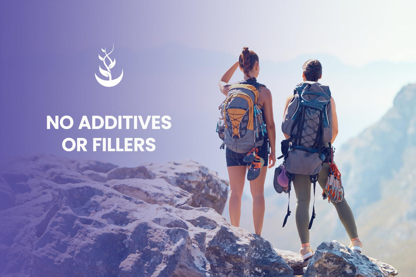 Pure Original Ingredients Bilberry Extract 365 Capsules
