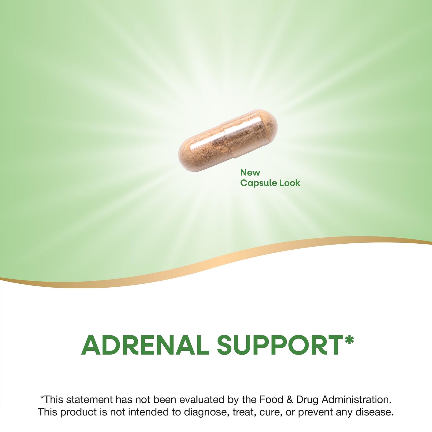 Nature's Way ADRENergize Adrenal Support Capsule, 50 Count