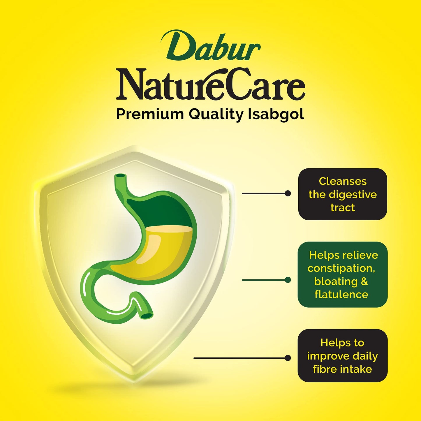 Dabur Nature Care Isabgol Tablet 1