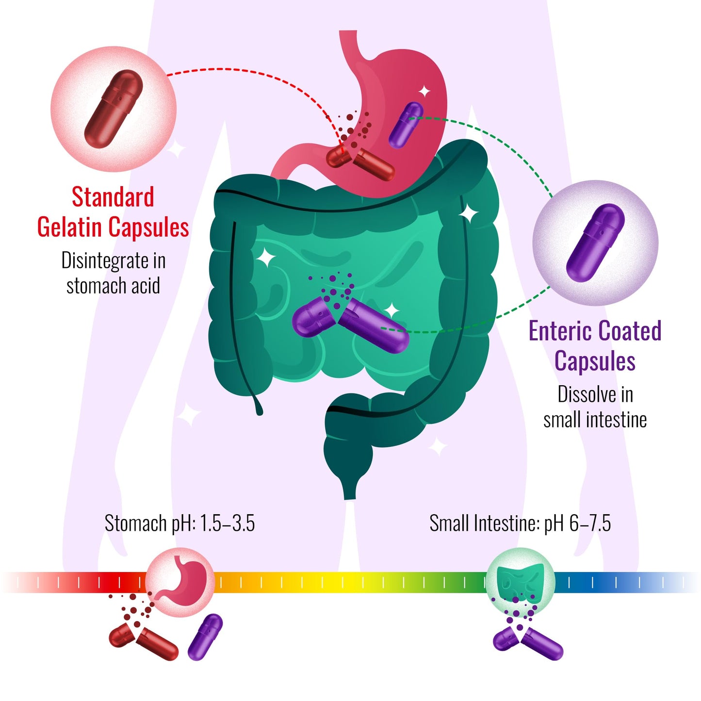 ATNreuro Size 0 Enteric Coated Empty Capsules – Acid Resistant Gelatin, Delayed Release – 1000 Capsules
