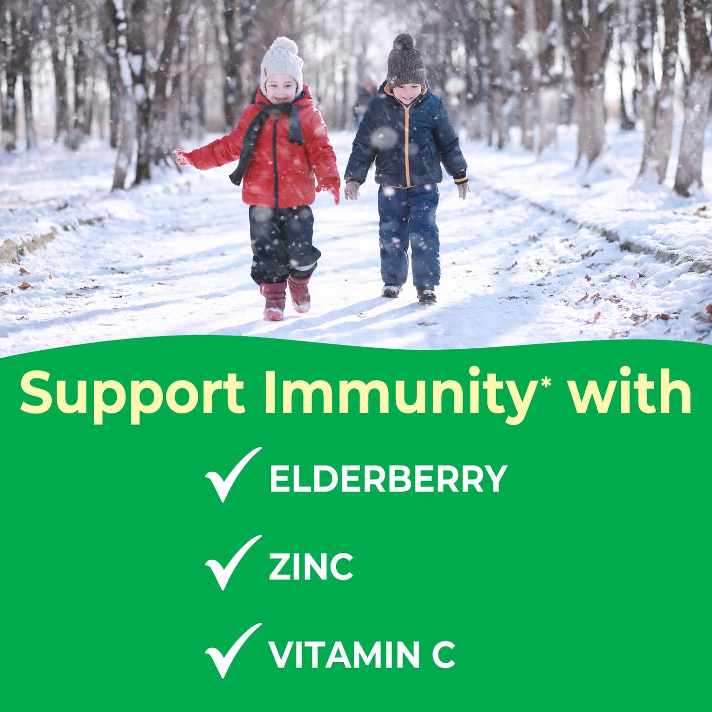 VitaWorks Kids Elderberry with Zinc and Vitamin C Immune Support Chewable 120 Chewables